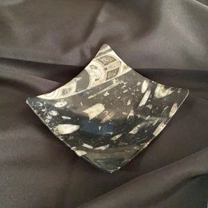 Ammonite & Orcerras Hand Polished Concave  Plate